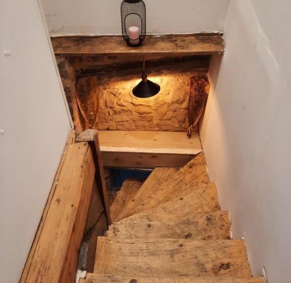 Номер Стандарт, Chez Collette