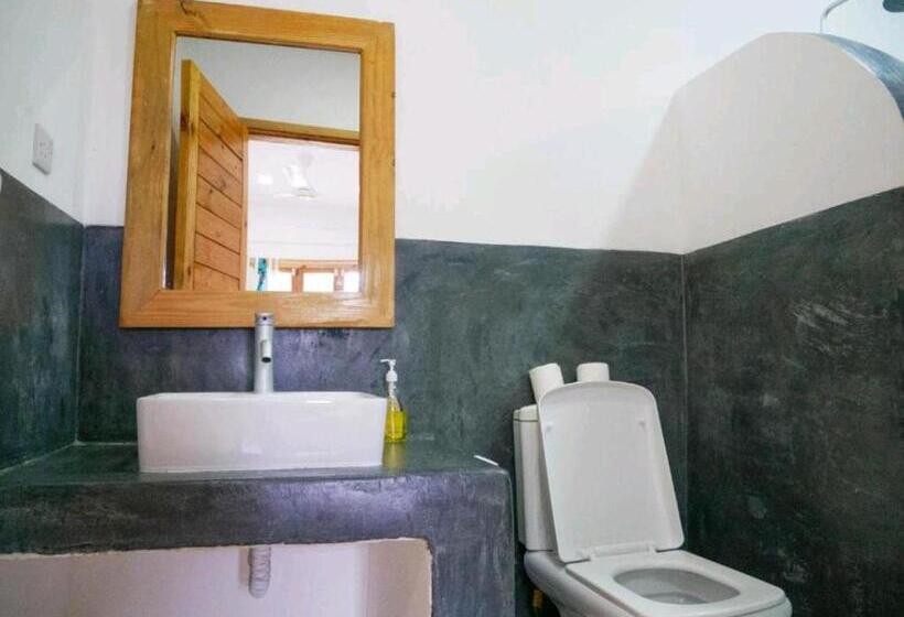 חדר סטנדרט, Jahazi