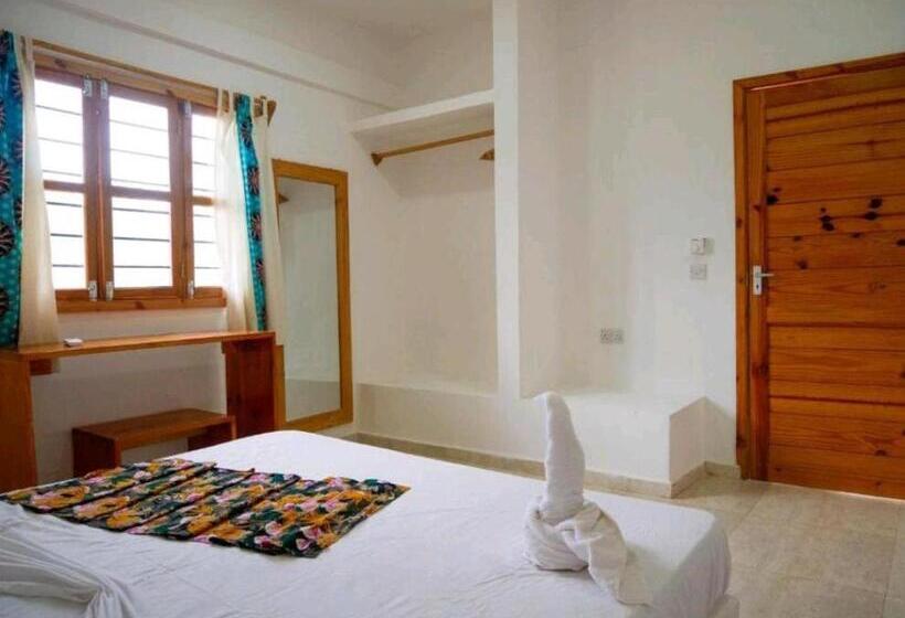 חדר סטנדרט, Jahazi