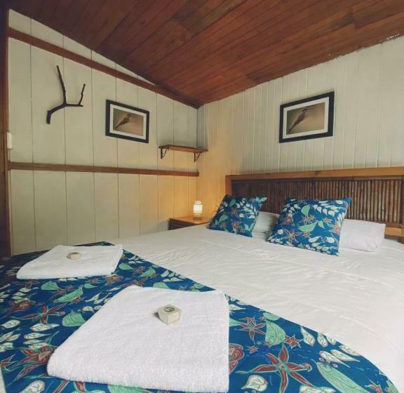 غرفة قياسية, El Abrazo Del Arbol