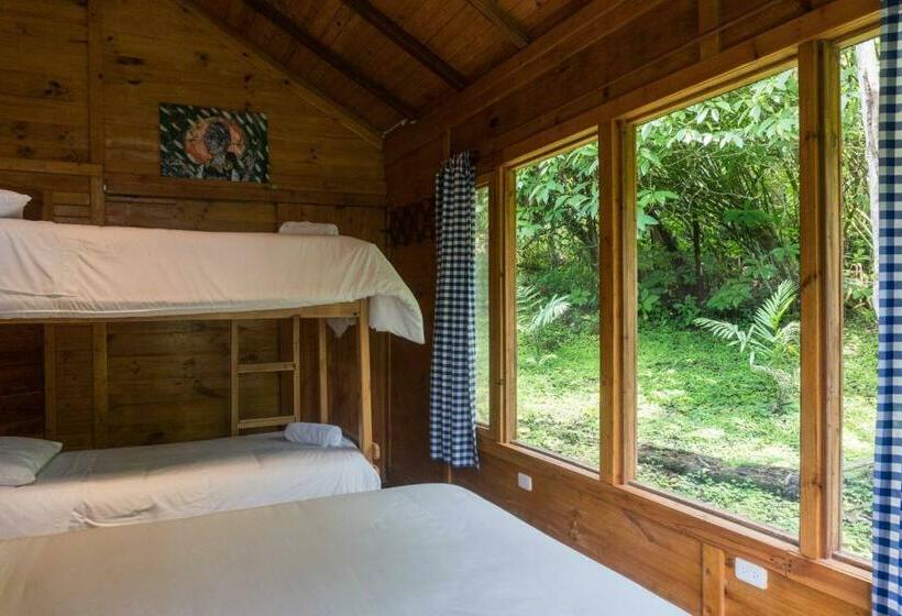 غرفة كلاسيكية رباعية, El Abrazo Del Arbol