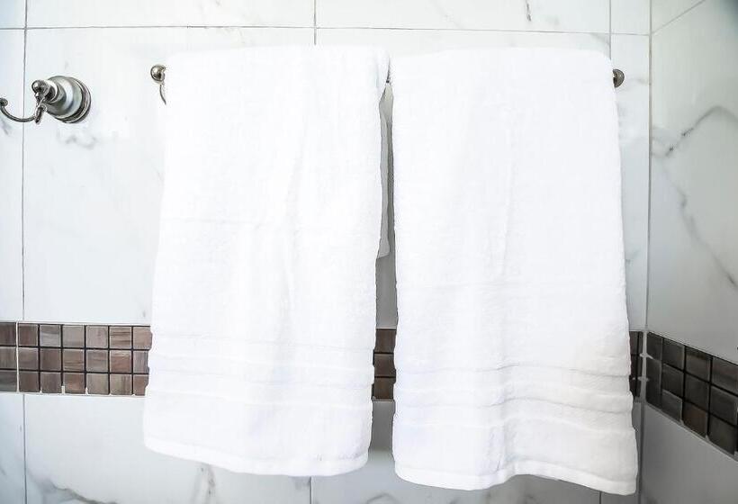 חדר סופריור, Oyo  Plaza Las Torres