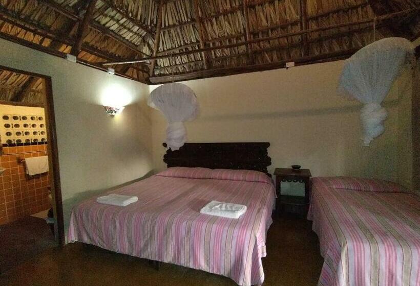 اتاق لوکس, Pez De Oro