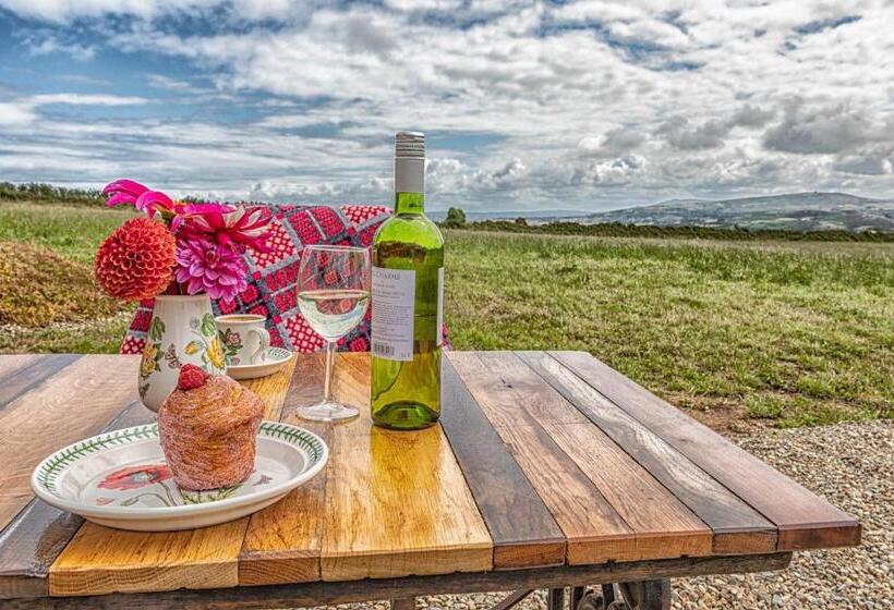 חדר סופריור נוף לים, Penrhiw Farm B & B