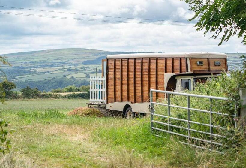 غرفة سوبيريور مطلّة علي البحر, Penrhiw Farm B & B