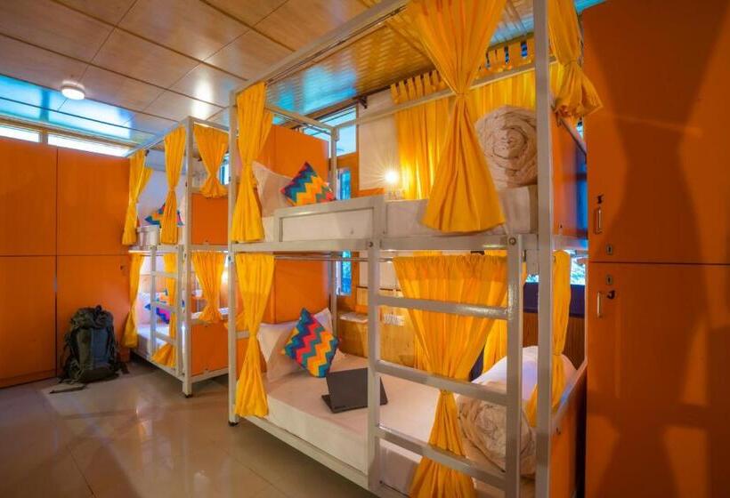 تختخواب در اتاق مشترک, Gostops Kasol