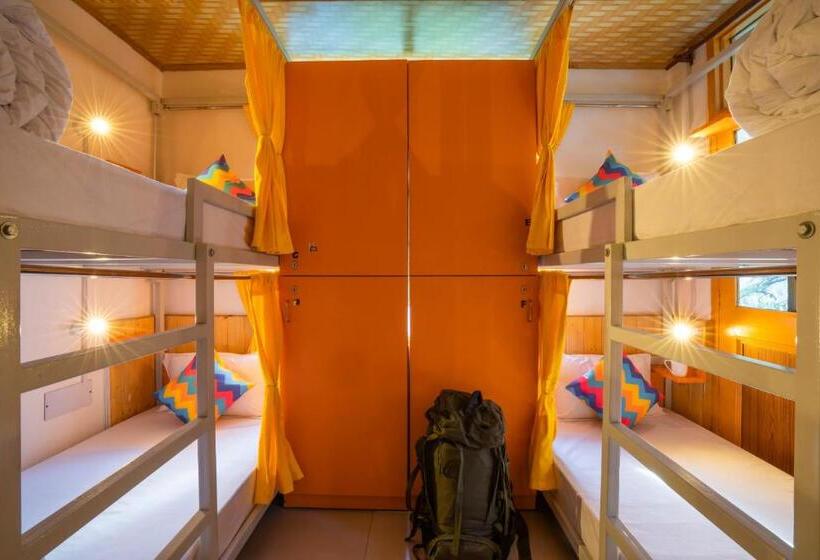 تختخواب در اتاق مشترک, Gostops Kasol