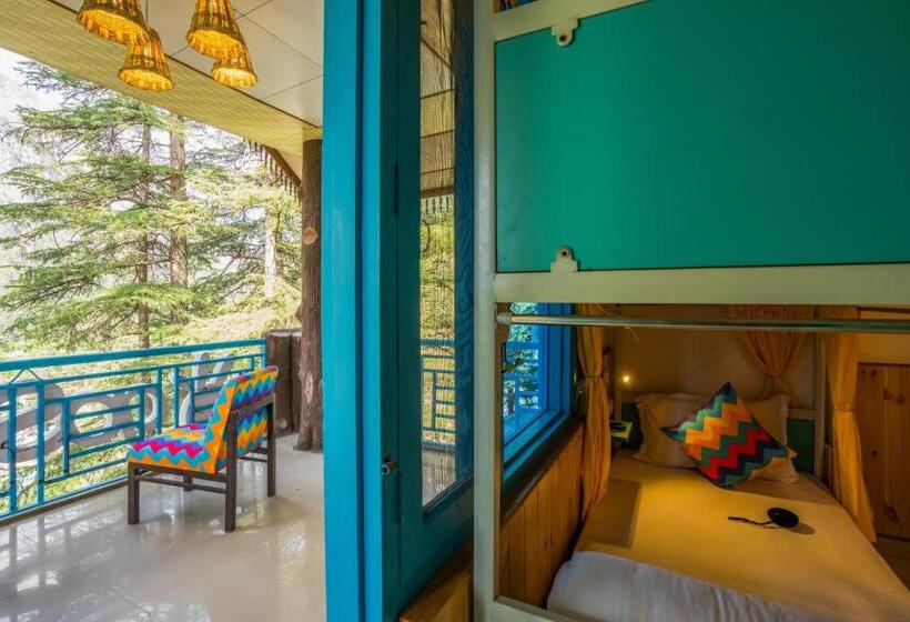 تختخواب در اتاق مشترک, Gostops Kasol