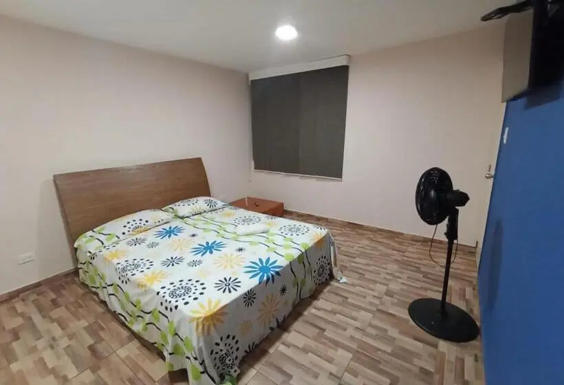 اتاق استاندارد با تخت بزرگ, Hostal Avanza