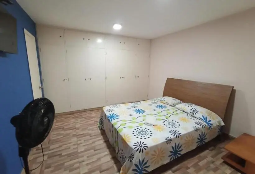 اتاق استاندارد با تخت بزرگ, Hostal Avanza