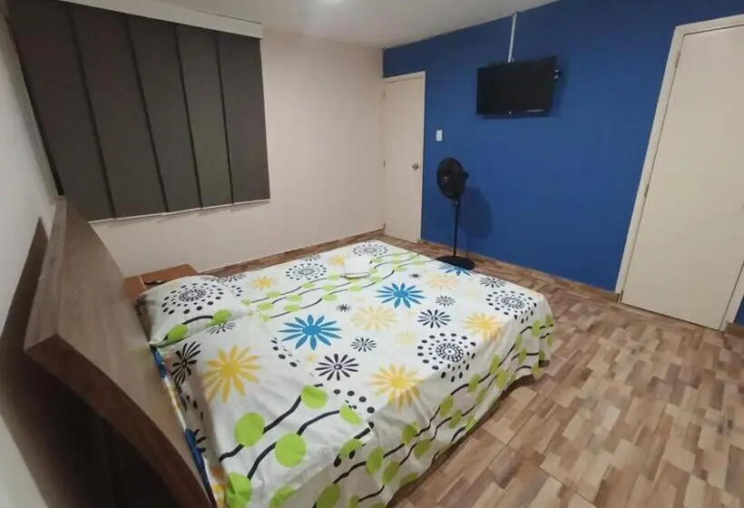 اتاق استاندارد با تخت بزرگ, Hostal Avanza