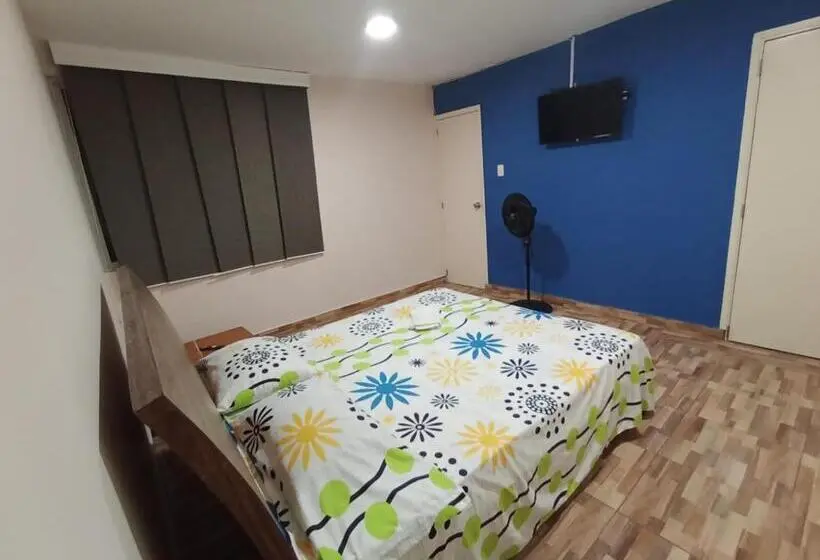اتاق استاندارد با تخت بزرگ, Hostal Avanza