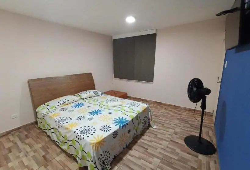 اتاق استاندارد با تخت بزرگ, Hostal Avanza