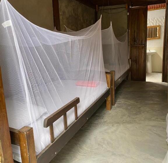 Habitación Cuádruple Estándar, Bonita Hostel