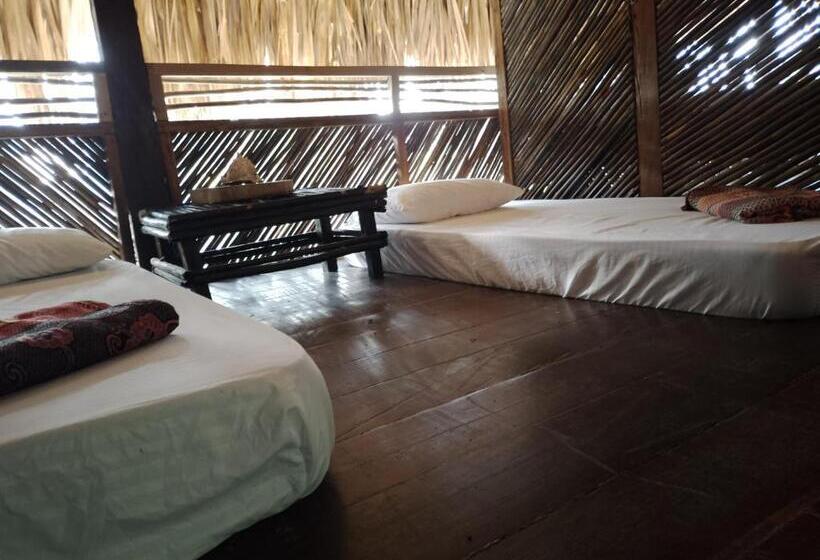 共用房间的床, Bonita Hostel