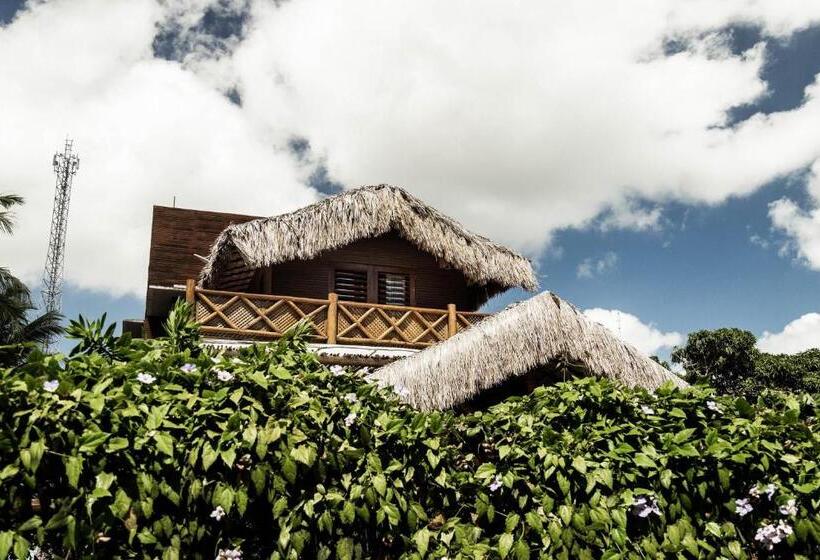 סוויטה דלוקס, Zapata