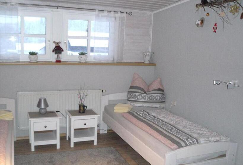 스탠다드 룸, Pension Hüttendorf 49 Gradnord