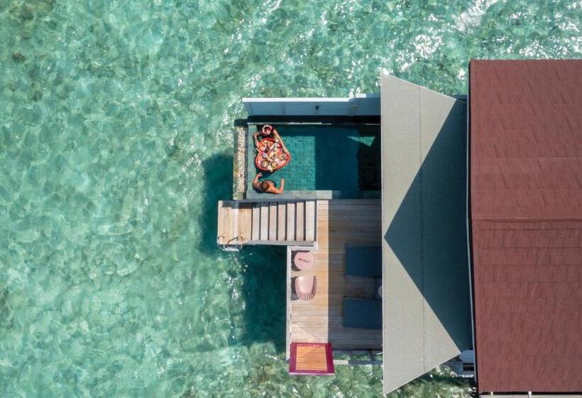 ویلای یک اتاق خوابه با استخر شنا, Oblu Select Lobigili  Premium Allinclusive With Free Transfers