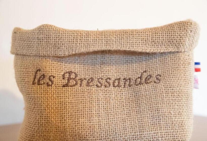 スタンダード４人部屋, Villa Fémina