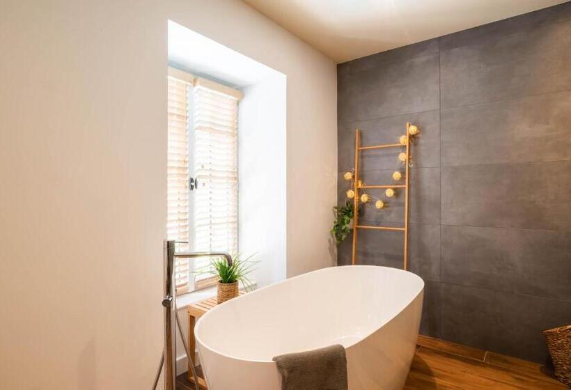 デラックスルーム, Villa Fémina