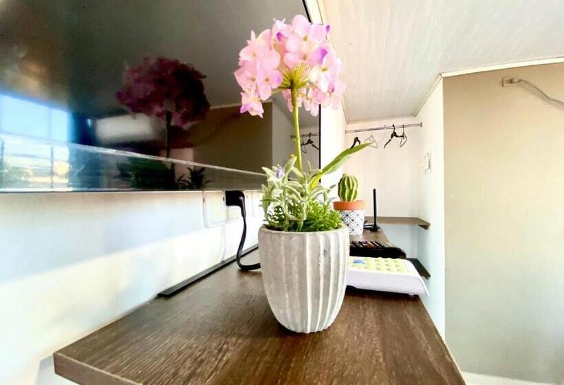 اتاق خانوادگی, Posada Shalain