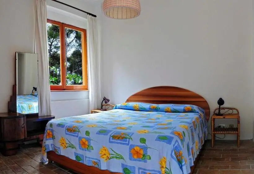 スタンダードインサイドビュールーム, B&b Al Cavalluccio Marino