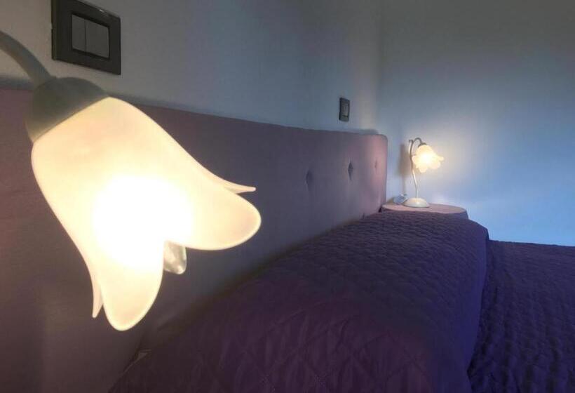 Quarto Estandar, Il Pianetto