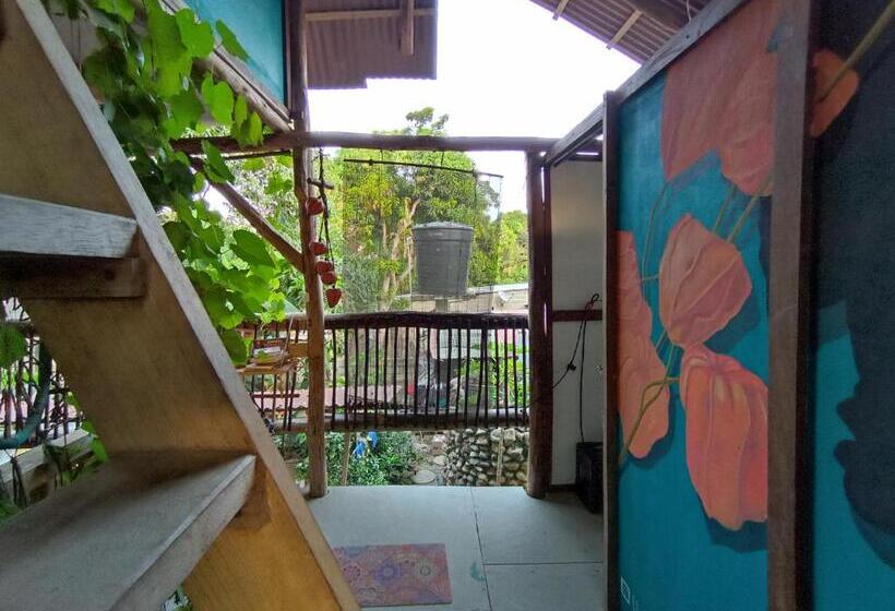 اتاق استاندارد اینتریور, La Happycleta