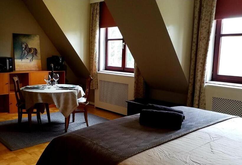 レイクビューデラックスルーム, Villa Sparadis