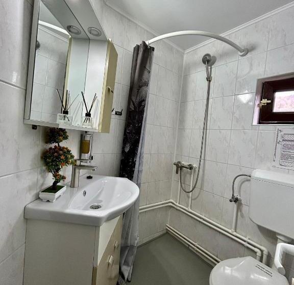 غرفة ديلوكس, Pensiunea Scarisoara