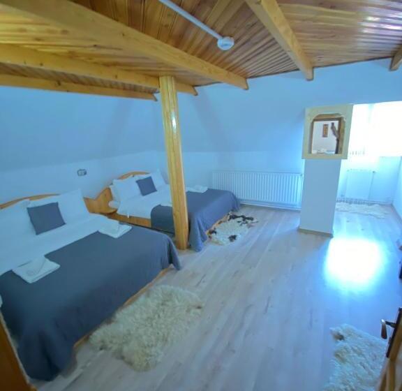 غرفة عائلية, Pensiunea Scarisoara