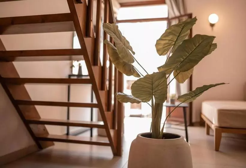 オーシャンビュースイート, Casa Veneta