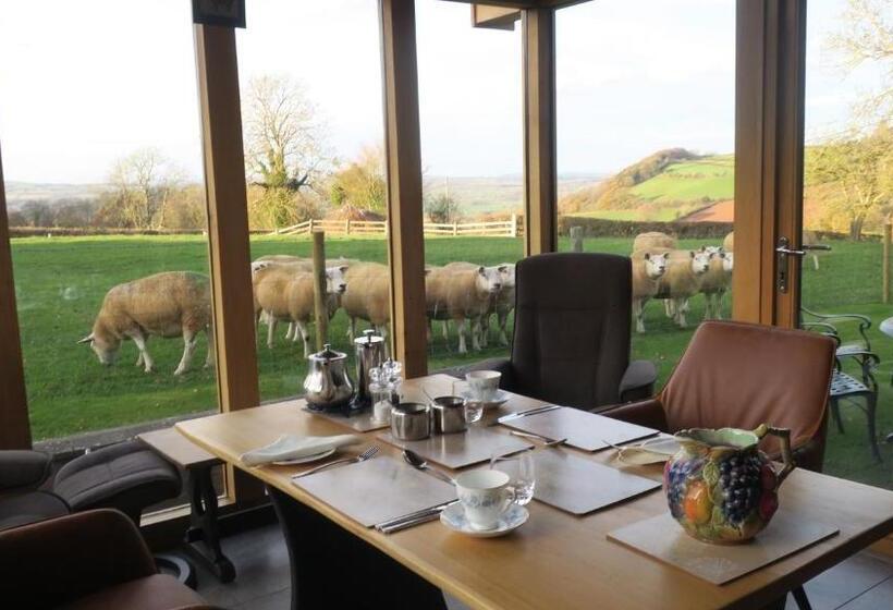 キングサイズベッドのスーペリアルーム, Highfield