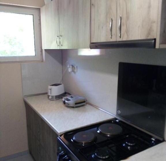 ビラホテル１ベッドルーム, Vila Bachkovo