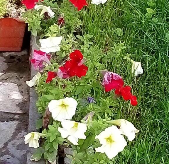 ビラホテル１ベッドルーム, Vila Bachkovo