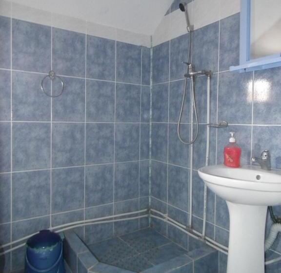 Номер Стандарт Вид на Сад, Pensiunea Irina 3