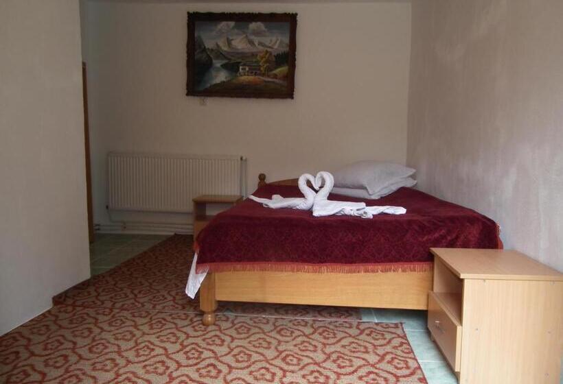 Номер Стандарт Вид на Сад, Pensiunea Irina 3