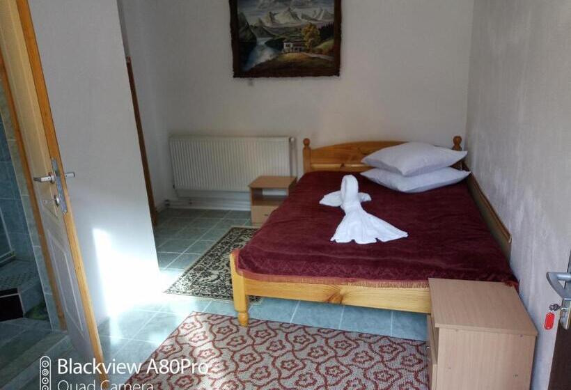 Номер Стандарт Вид на Сад, Pensiunea Irina 3