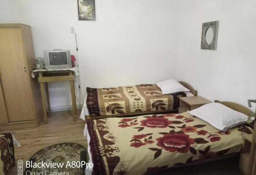 Трехместный Номер Стандарт Совместная Ванная, Pensiunea Irina 3