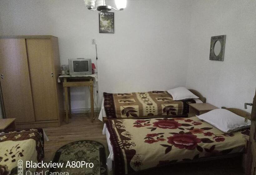 Трехместный Номер Стандарт Совместная Ванная, Pensiunea Irina 3