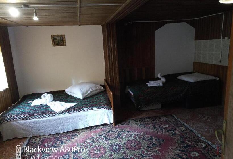 스탠다드 트리플 룸, Pensiunea Irina 3