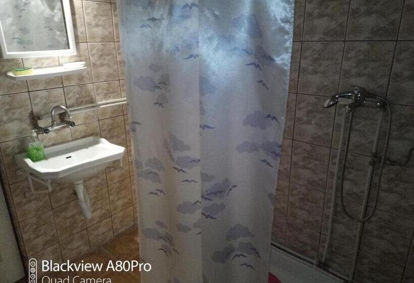 Номер Стандарт Трехместный, Pensiunea Irina 3