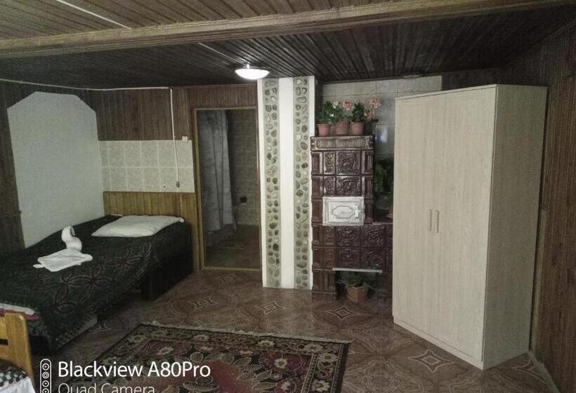 Номер Стандарт Трехместный, Pensiunea Irina 3