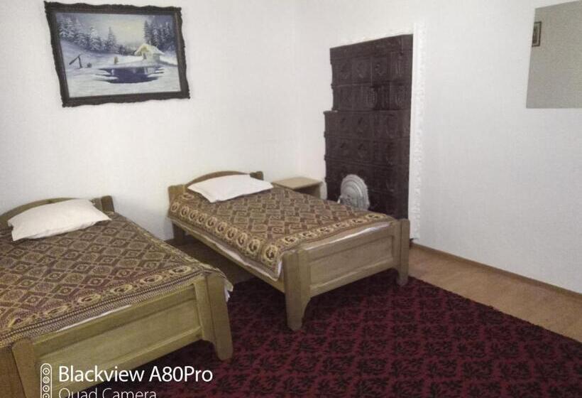 Апартаменты 2 Спальни, Pensiunea Irina 3