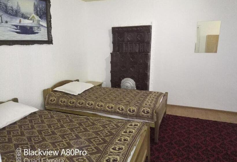 Апартаменты 2 Спальни, Pensiunea Irina 3