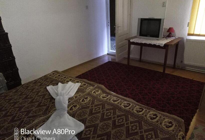 Апартаменты 2 Спальни, Pensiunea Irina 3