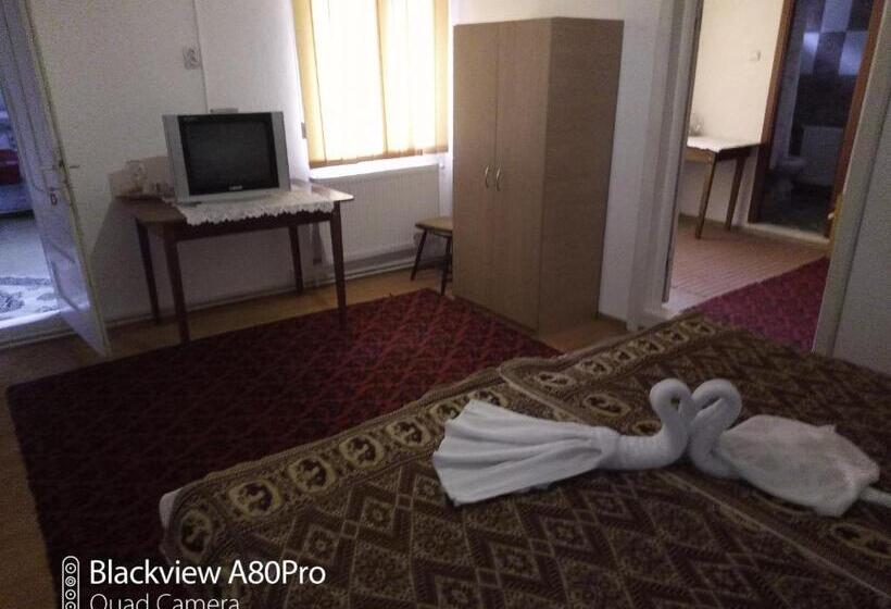 Апартаменты 2 Спальни, Pensiunea Irina 3