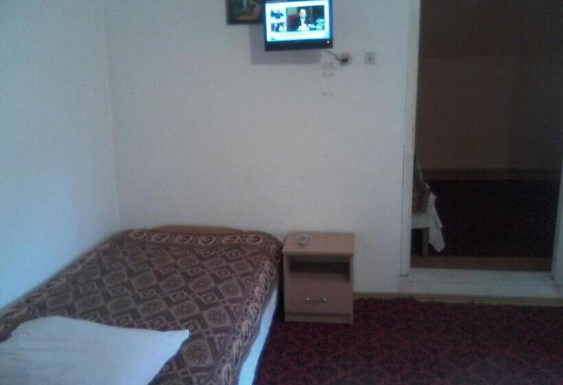 Апартаменты 2 Спальни, Pensiunea Irina 3