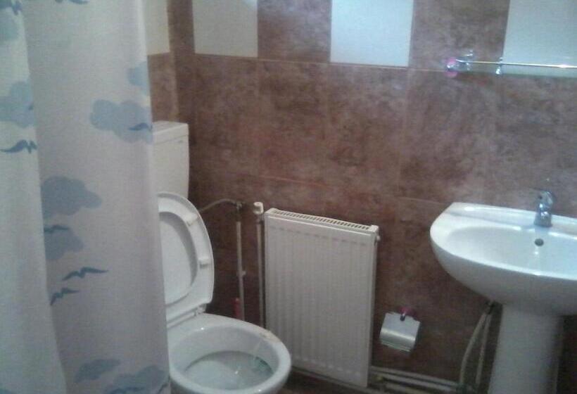 침실 2개 아파트, Pensiunea Irina 3