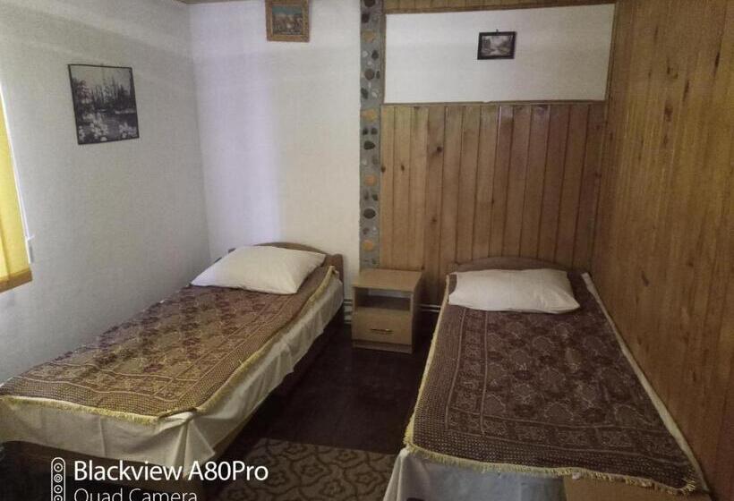 Номер Стандарт Совместная Ванная, Pensiunea Irina 3